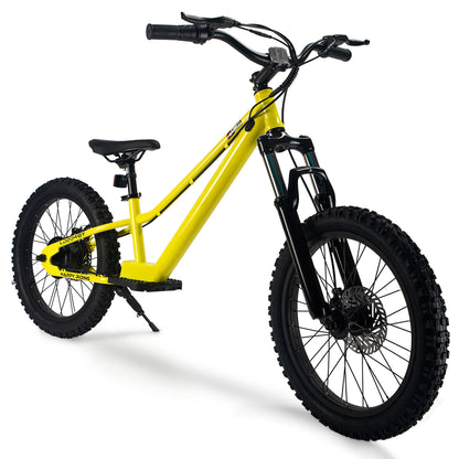 DuoDian KIDS ELECTRIC BIKE 350W 20" FOR AGES 9+, UP TO 18.6 MPH, 15.5 MILES RANGE