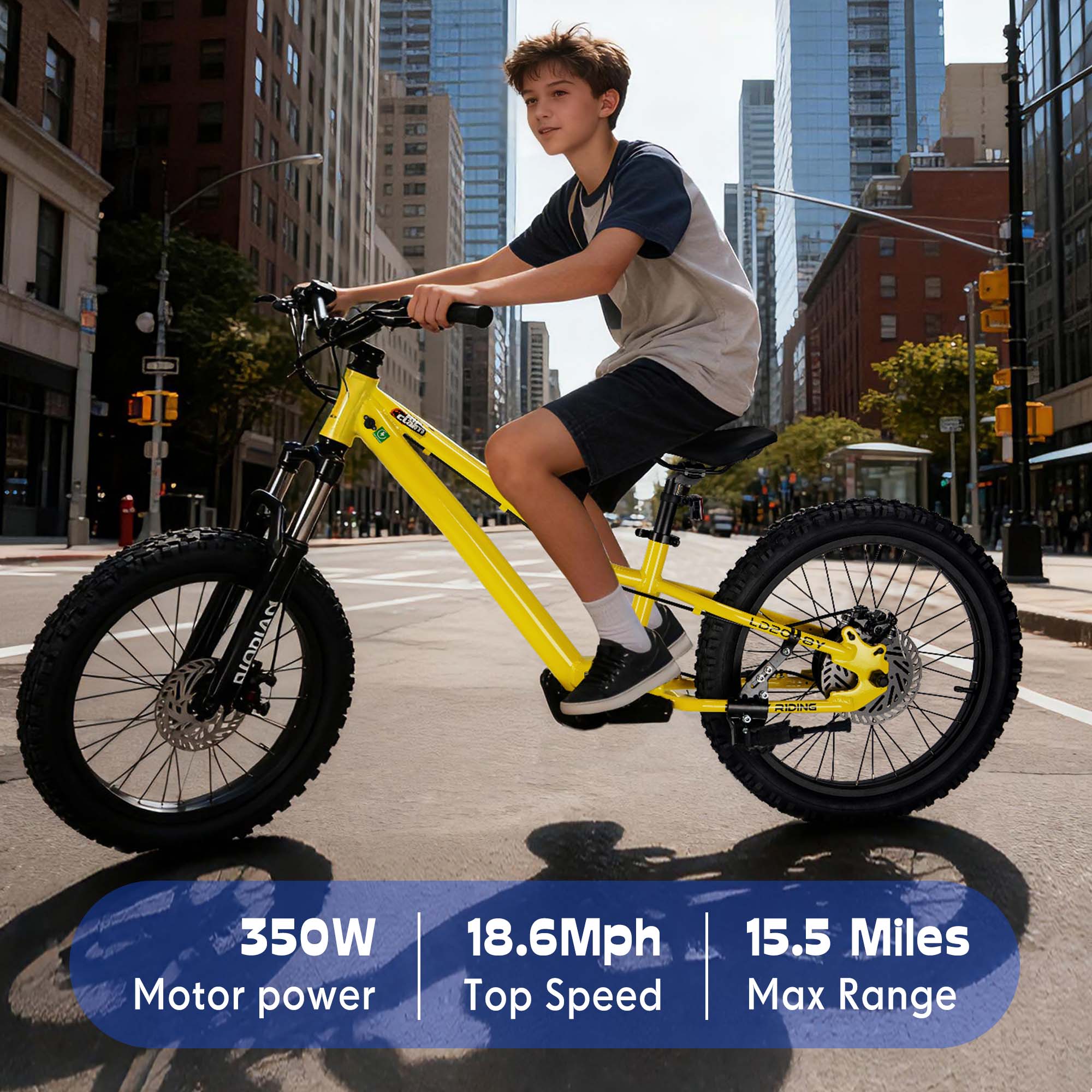 DuoDian KIDS ELECTRIC BIKE 350W 20" FOR AGES 9+, UP TO 18.6 MPH, 15.5 MILES RANGE