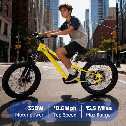DuoDian KIDS ELECTRIC BIKE 350W 20" FOR AGES 9+, UP TO 18.6 MPH, 15.5 MILES RANGE