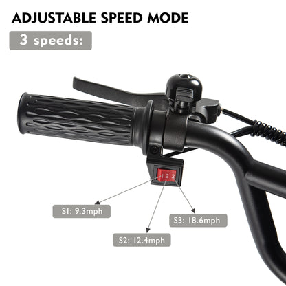 DuoDian ET-02 Ultra front fork suspension and hydraulic disc brake detail