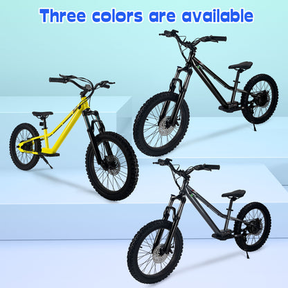 DuoDian KIDS ELECTRIC BIKE 350W 20" FOR AGES 9+, UP TO 18.6 MPH, 15.5 MILES RANGE