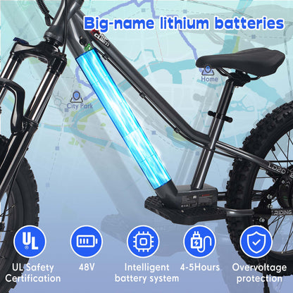 DuoDian KIDS ELECTRIC BIKE 350W 20" FOR AGES 9+, UP TO 18.6 MPH, 15.5 MILES RANGE