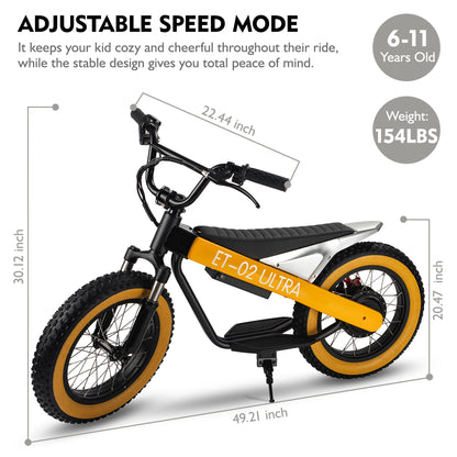 DuoDian ET-02 Ultra rear shock absorber and chain drive system